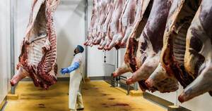 La Nación / Ingresos de carne bovina cayeron 10 % a mayo por menor precio