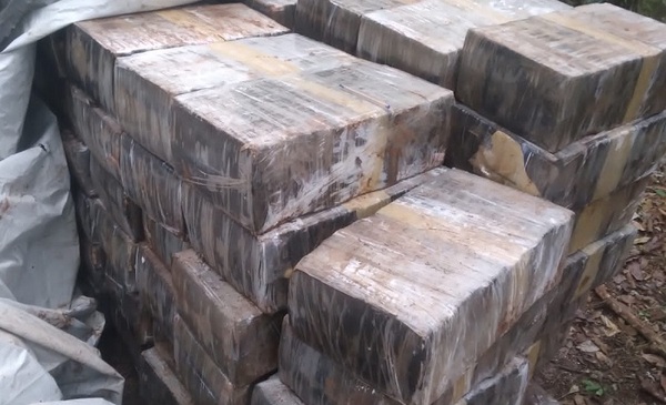 Fiscalía incautó 5 toneladas de marihuana en Canindeyú
