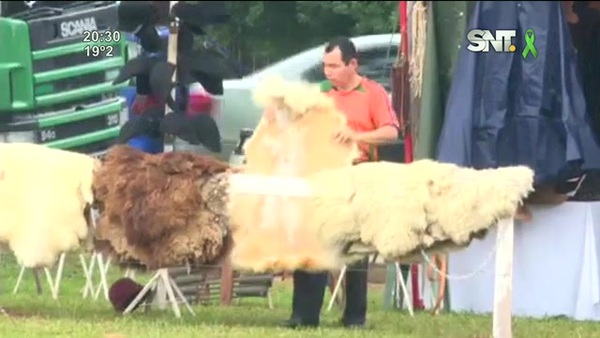 Ou hína: Festival del Ovecha Rague - SNT