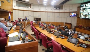 Reforma Policial: Sesión del Senado quedó en cuarto intermedio durante estudio del proyecto