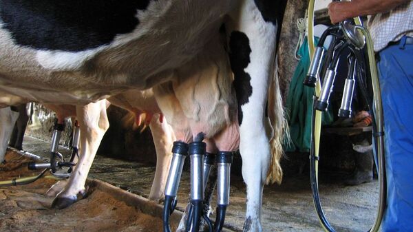 Precios de la leche se mantienen estables, dijo Presidente de la Capainlac