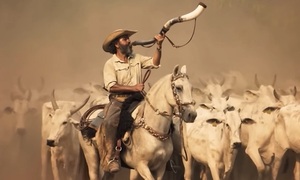Marcos Palmeira, José Leoncio en “Pantanal”, detalla su personaje | Telefuturo
