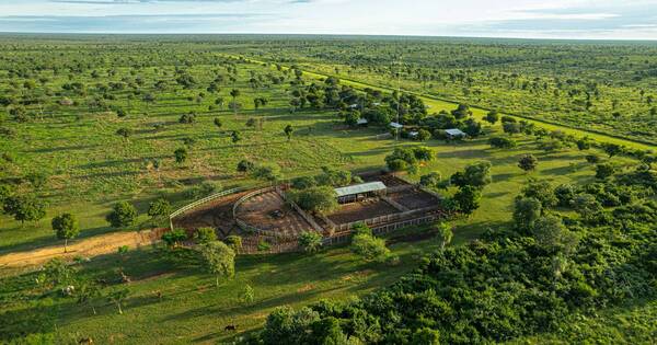 La Nación / Destacan venta de estancia de25 mil hectáreas en el Chaco