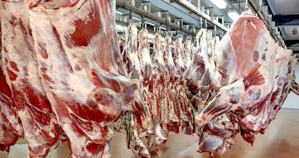 Paraguay exportó 128.000 toneladas de carne bovina a mayo de 2023