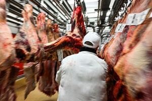 Paraguay exportó más de 128.000 toneladas de carne bovina de enero a mayo