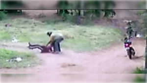 [VIDEO] Malevo asalta a estudiante camino al cole