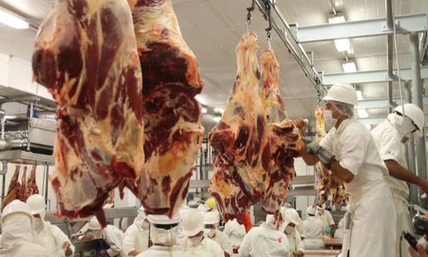 Ganaderos estadounidenses se oponen al ingreso de carne paraguaya - OviedoPress