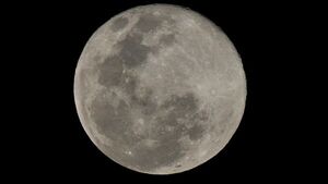 La ilusión óptica de la luna llena: Día y mejor horario para disfrutarla