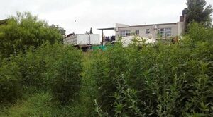 Adolescente llevaba al yuyal a su primita, la ataba y abusaba