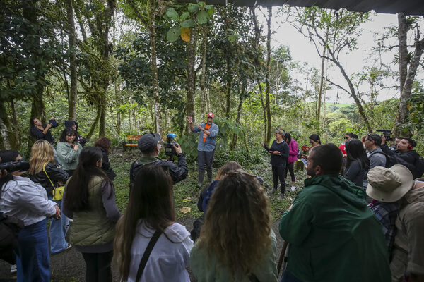 El "paraíso" del Chocó Andino de Ecuador tendrá su plebiscito para desterrar a la minería - MarketData