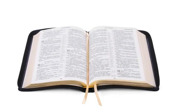 Vetan la Biblia en varias escuelas de Utah (EE.UU.) por su contenido “pornográfico” - Mundo - ABC Color