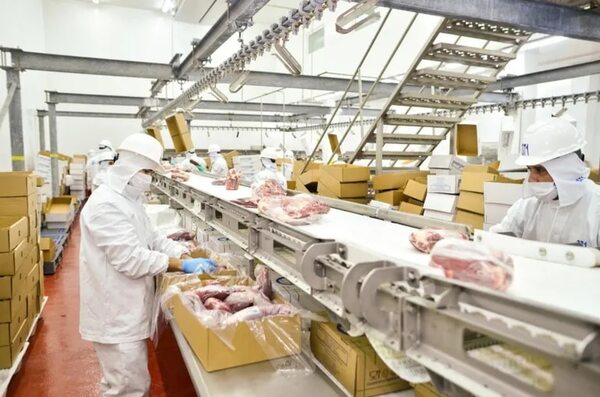 Reajuste del salario mínimo sería del 5,1%, unos G. 130.065  - Economía - ABC Color