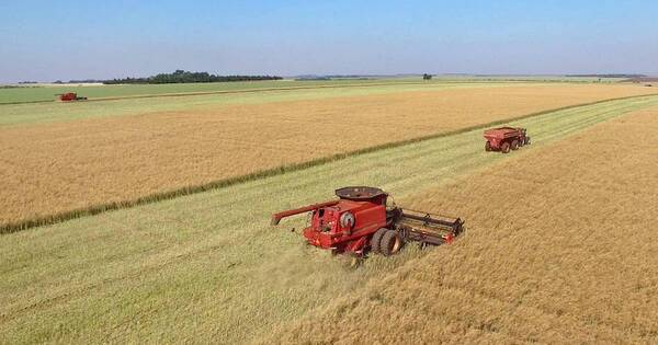 La Nación / Sector agrícola espera que reconozcan sistema sustentable de producción