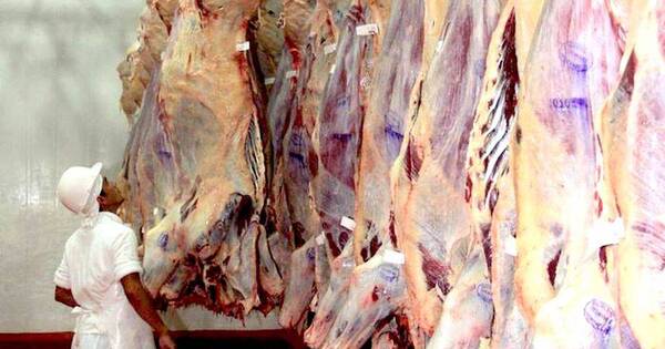 La Nación / Ingresos de carne bovina cayeron 10 % a mayo