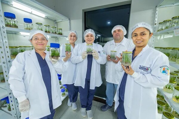 LAS MUJERES QUE CULTIVAN Y CUSTODIAN LAS PLANTAS QUE PODRÍAN CAMBIAR LA CAÑICULTURA
