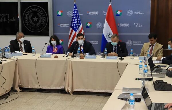 Dan sólidos argumentos para que la carne paraguaya pueda tener visa de EE.UU. - Nacionales - ABC Color