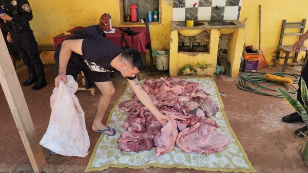 Concepción: Policía incauta carne clandestina y varias evidencias