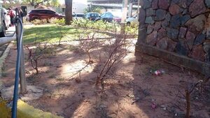 IPS pagó G. 2.623 millones por cuidado  de sus jardines antes de las elecciones - Política - ABC Color