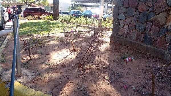 IPS pagó G. 2.623 millones por cuidado  de sus jardines antes de las elecciones - Política - ABC Color