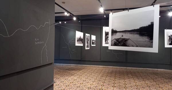 La Nación / Habilitan muestra homenaje a Bartomeu Melià