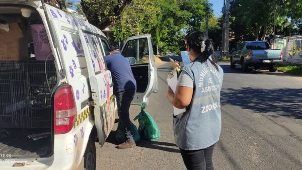 Comuna interviene casa con perros muertos y rescata a cuatro vivos