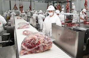 Aguardan decisión final sobre ingreso de carne paraguaya a EE.UU. | 1000 Noticias