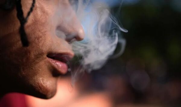 Diario HOY | Con feria y concierto variado formalizarán el Club de Cannabis del Paraguay