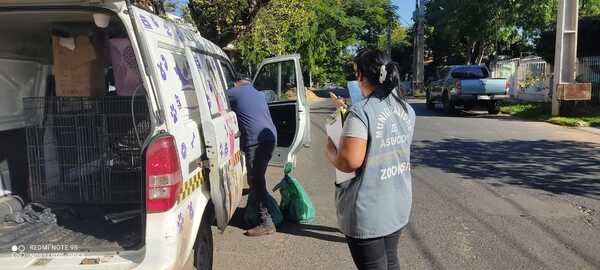 Localizan a 2 perros muertos y rescatan a 4 más abandonados del interior de una vivienda | 1000 Noticias