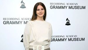 Un técnico de Lana Del Rey declara ante la Policía como sospechoso de xenofobia