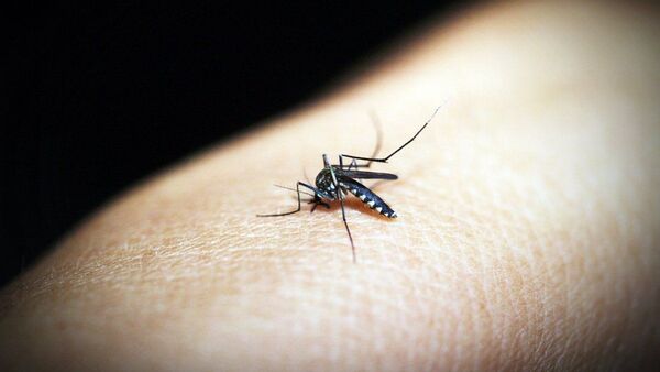 Marcado descenso de casos de dengue y chikungunya en el país