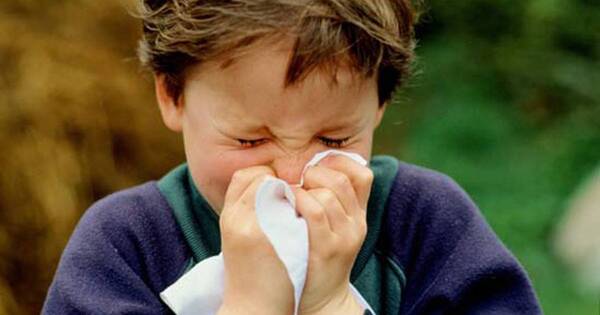La Nación / Paraguay registra tasa del 42 % de rinoconjuntivitis alérgica