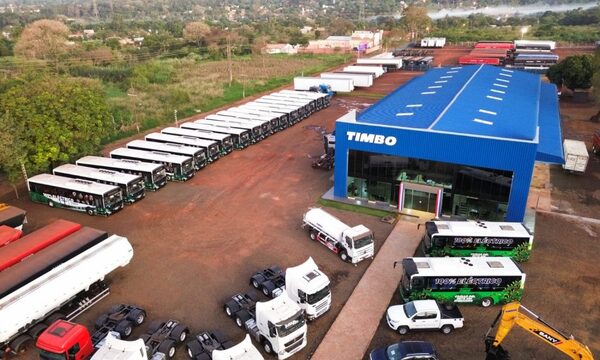 Buses eléctricos sobrefacturados de Miguel Prieto son para mera exhibición desde hace 45 días