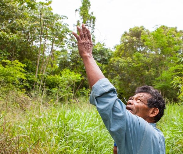 Guyra Paraguay cede a indígenas 548 hectáreas en Itapúa