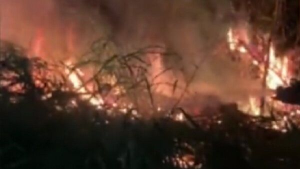 Colilla de cigarrillo habría provocado incendio en el Cerro Ñemby