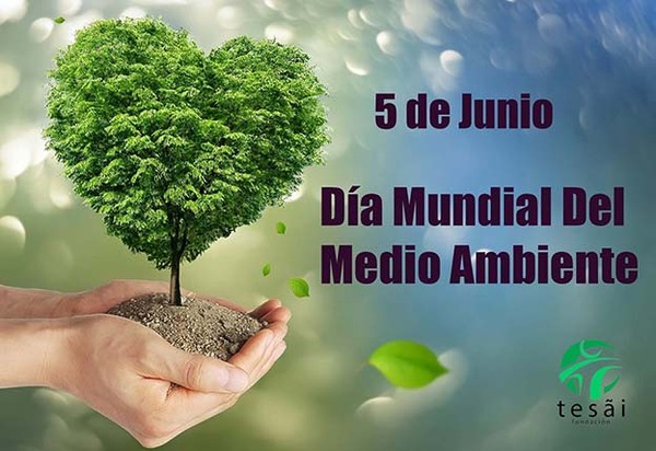 Fundación Tesãi celebra el Día Mundial del Medio Ambiente | DIARIO PRIMERA PLANA