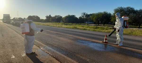 Focos de gripe aviar solo en el Chaco - San Lorenzo Hoy