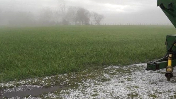 Baja posibilidad de heladas agronómicas hasta inicio de invierno | Agronegocios | 5Días