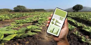 Expertos se帽alan que la digitalizaci贸n y la innovaci贸n son claves para el sector agr铆cola en Am茅rica Latina - Revista PLUS