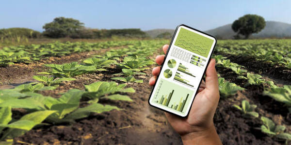 Expertos se帽alan que la digitalizaci贸n y la innovaci贸n son claves para el sector agr铆cola en Am茅rica Latina - Revista PLUS