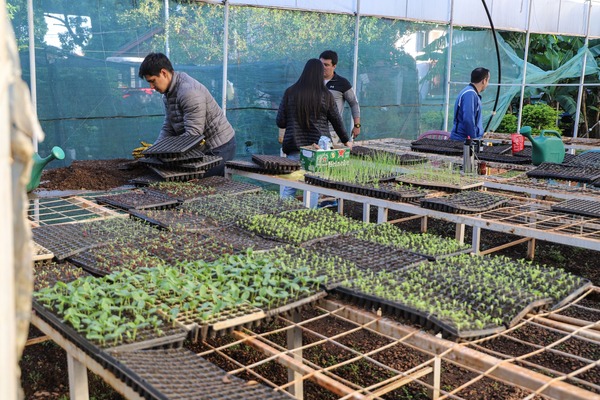 INVERNADERO MUNICIPAL CONTINÚA CON LA PRODUCCIÓN DE PLANTINES