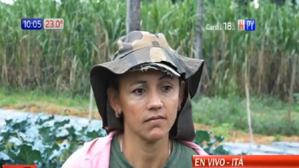 Hiriente inseguridad: Vaciaron huerta de humilde agricultora - Noticias Paraguay