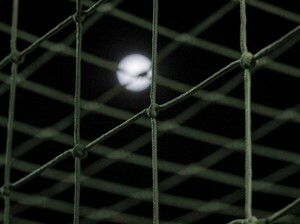 Así se jugará la última fecha del Apertura 2023 - APF