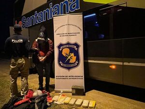 Can detecta cocaína en ómnibus