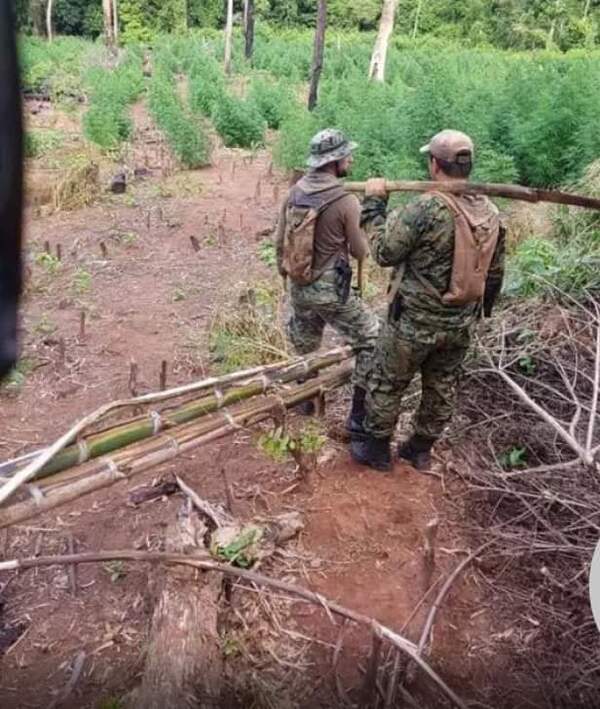 Denuncian supuesto triple homicidio en la Reserva Mbaracayú