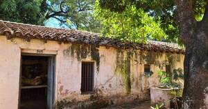 La Nación / Herbario “Teodoro Rojas” del Jardín Botánico está en ruinas y con riesgo de derrumbe