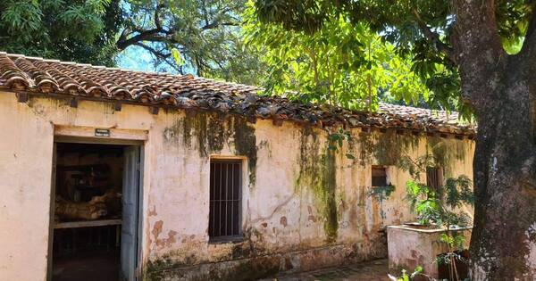 La Nación / Herbario “Teodoro Rojas” del Jardín Botánico está en ruinas y con riesgo de derrumbe