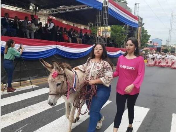 Bella, la burrita más querida de Lambaré desfiló en aniversario de la ciudad
