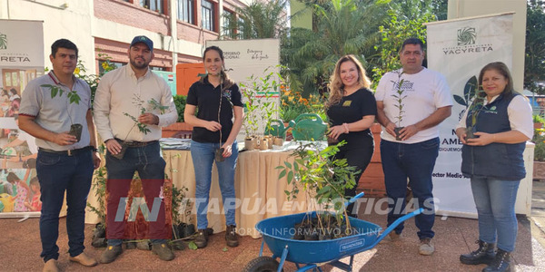 ENTREGARON PLANTINES EN LA GOBERNACIÓN POR EL DÍA DEL MEDIO AMBIENTE - Itapúa Noticias