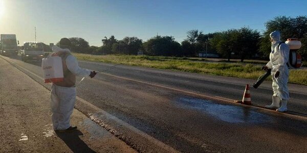 Senacsa levantó barreras sanitarias tras eliminar fuentes de gripe aviar en el Chaco
