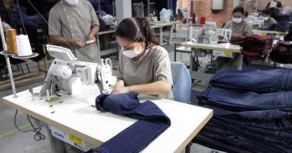 La Nación / Maquiladoras exportaron por USD 422 millones